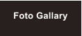 Foto Gallary