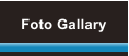 Foto Gallary